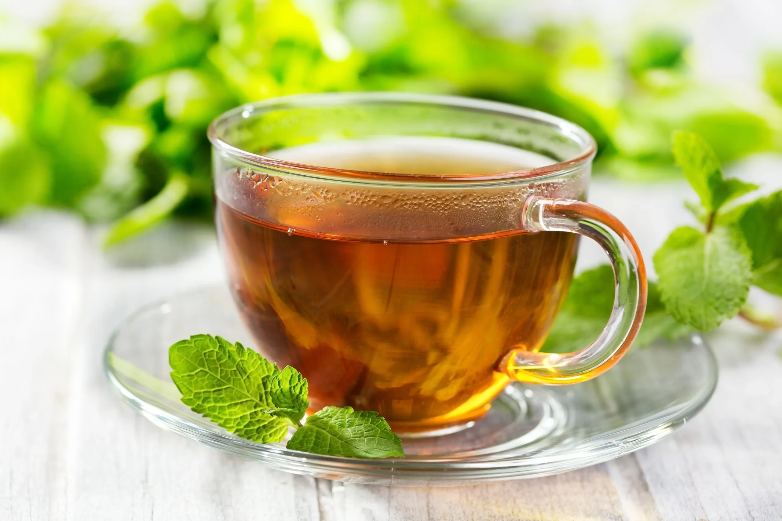 Fresh Green Tea